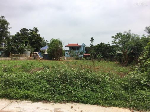 Chính chủ cần bán đất tại Cố Thổ Xã Hòa Sơn, Lương Sơn, Hòa Bình