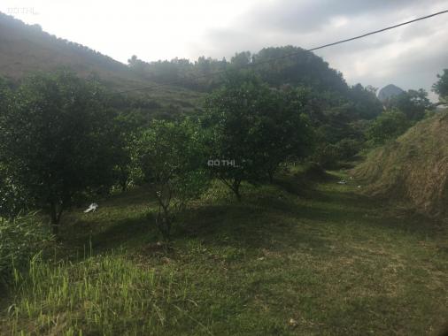 Cần bán đất diện tích khủng tại Cao Phong, Hòa Bình giá hơn 7 nghìn/m2
