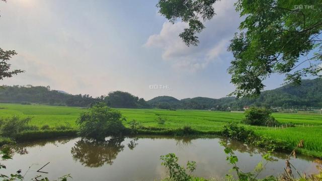 Chỉ với 650 triệu có ngay 840m2 full thổ cư view cánh đồng tuyệt đẹp tại Kim Bôi, Hòa Bình