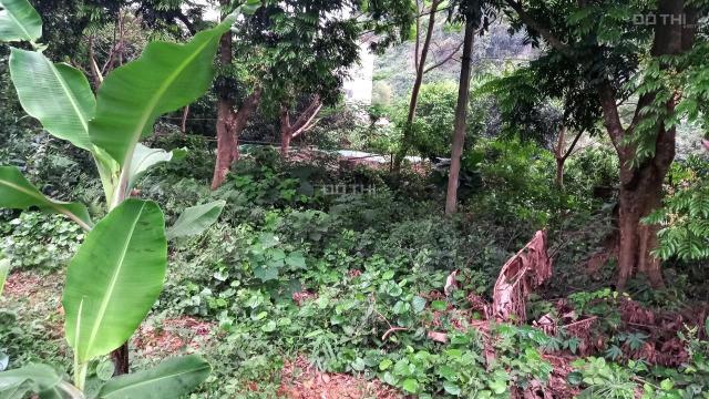 Cần bán 1200m2 đất thổ cư giá siêu rẻ tại Lương Sơn, Hòa Bình