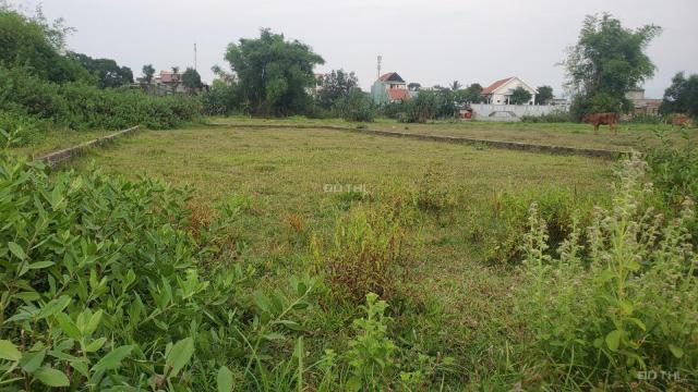 Bán đất tại đường Quốc Lộ 14B, Xã Đại Cường, Đại Lộc, Quảng Nam diện tích 165m2 giá 3.6 triệu/m2