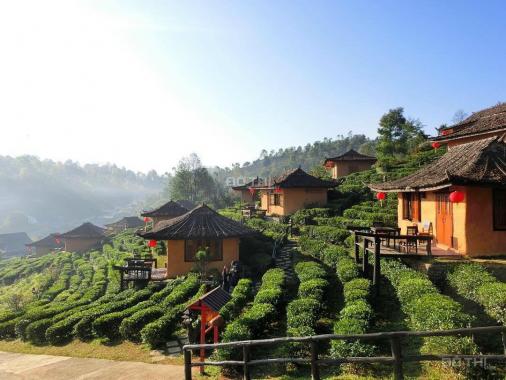 Bán rẻ lô nhà đất gần 6ha giá 115 nghìn/m2 Mường Sang - Mộc Châu view đồi cực đẹp