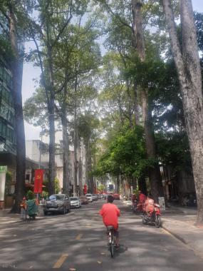 Bán nhà mặt tiền con đường thương hiệu Bùi Thị Xuân Phường Bến Thành quận 1 338 m2