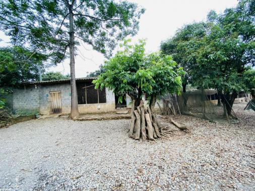 Bán phân khúc đất nhà vườn nghỉ dưỡng siêu rẻ siêu đẹp tại Lạc Thủy, Hòa Bình diện tích 11607m2