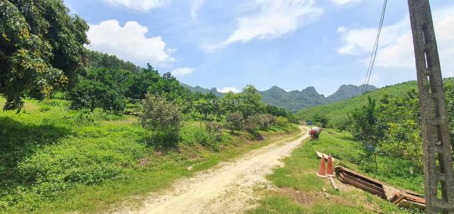 Siêu phẩm đất làm trang trại nhà vườn tuyệt đẹp tại Lạc Thủy, Hòa Bình với diện tích 4ha