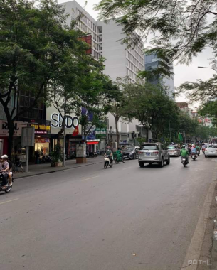 Nhà phố Nguyễn Văn Tố - Vị trí có 102 - 135m2 x 4 tầng - MT: 5m - 65 tỷ