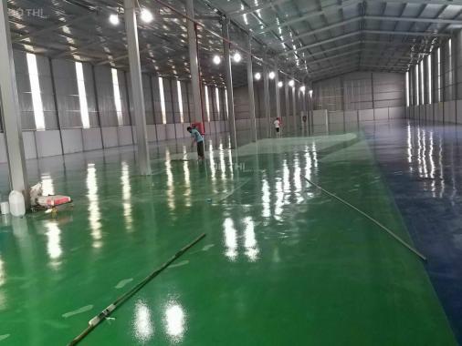 Cho thuê gấp kho xưởng 4300m2 giá rẻ tại Thuận An, Bình Dương