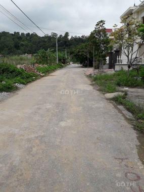 Bán lô đất mặt đường tuyến 2 Thanh Niên, Đồ Sơn giá rẻ