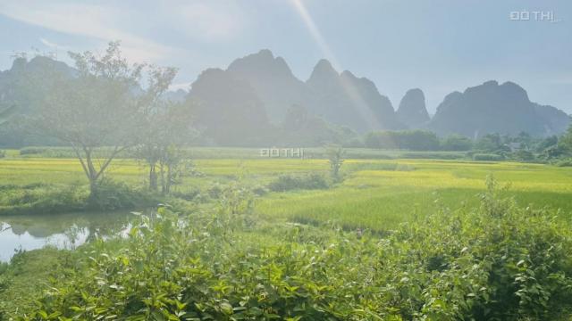 Bán nhanh 1,4ha, đất sinh thái, phù hợp làm xưởng, trang trại view thoáng, Cao Dương, Lương Sơn
