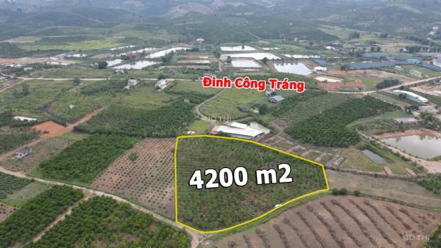 Bán đất đường Đinh Công Tráng, Lộc Châu với hơn 100m mặt tiền