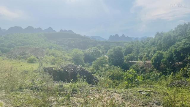 Bán gấp 6ha đất RSX, bám mặt hồ đồi thoải, thuộc Hợp Thanh, Lương Sơn, Hòa Bình