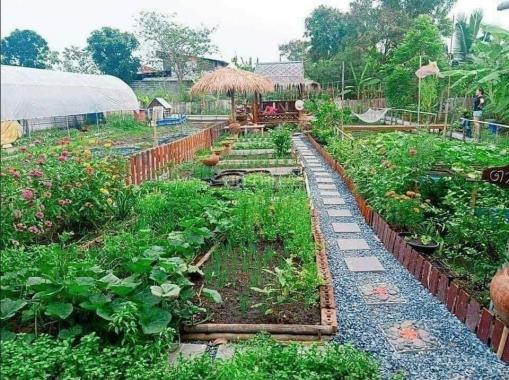 Bán đất làm nhà vườn Xã Nhuận Đức - Củ Chi - diện tích 500m2 giá 2.3 triệu/m2