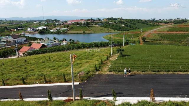 Chỉ từ 1.4 tỷ sở hữu ngay một lô đất view hồ và đồi chè ở Bảo Lộc