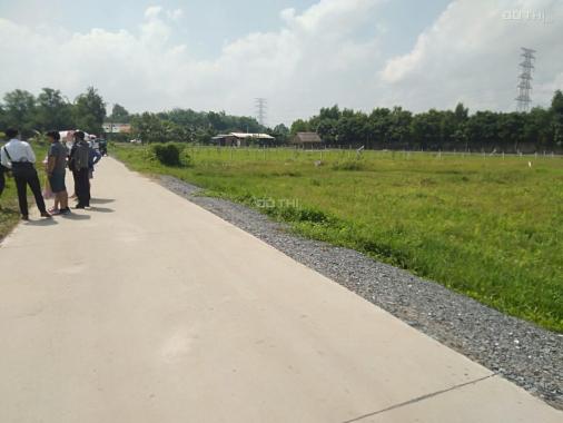 Bán đất tại đường Nguyễn Thị Rành, Xã Nhuận Đức, Củ Chi, Hồ Chí Minh diện tích 564m2 giá 1,12 tỷ
