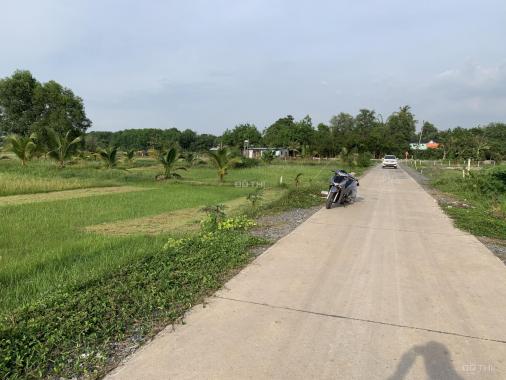 Bán đất tại đường Nguyễn Thị Rành, Xã Nhuận Đức, Củ Chi, Hồ Chí Minh diện tích 564m2 giá 1,12 tỷ