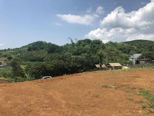 Cần bán gấp 4841m2 đất thổ cư giá cực rẻ tại Cao Phong, Hòa Bình