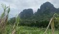 Cần bán 2000m2 đất Tân Phong siêu phẳng