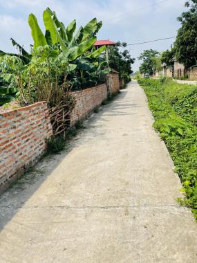 Bán đất tại đường Quốc Lộ 35, Xã Minh Phú, Sóc Sơn, Hà Nội diện tích 116m2 giá 7 triệu/m2