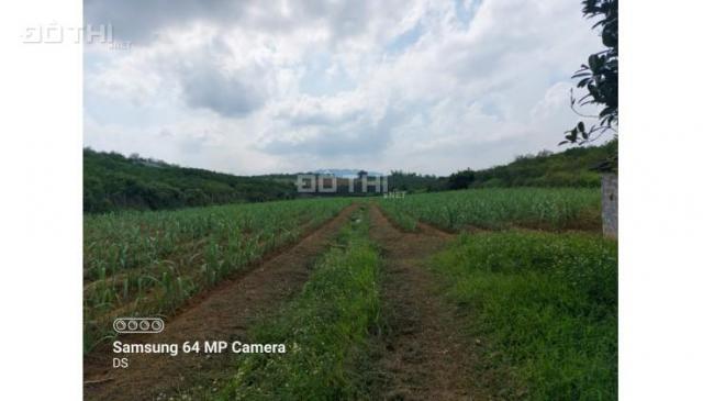 Chủ cần tiền cắt bán 1500m có 200m thổ cư tại cao phong chỉ 390 triệu - Thế đất bằng phẳng