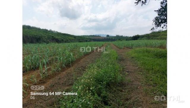 Bán đất Cao Phong giá rẻ chỉ với 260nghìn/m2