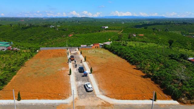 Ngân hàng phát mãi 20 lô đất đẹp gần TT TP Bảo Lộc, DT từ 100 - 300m2 giá siêu mềm, SHR từng nền