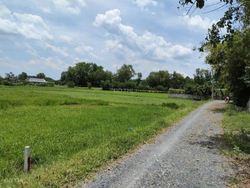 Bán đất vườn, quy hoạch khu dân cư giá rẻ Củ Chi, TPHCM