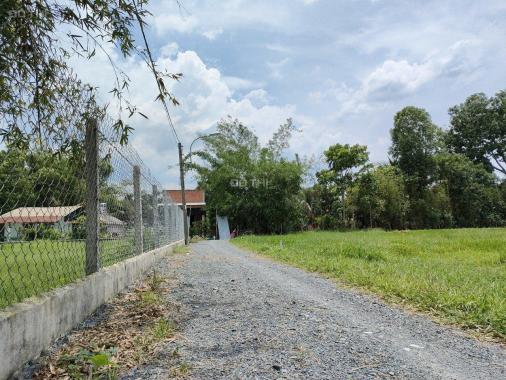 Bán đất vườn, quy hoạch khu dân cư giá rẻ Củ Chi, TPHCM