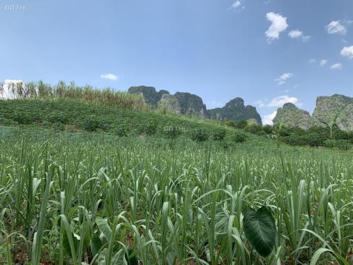 Bán đất Cao Phong siêu phẩm nghỉ dưỡng 4000m2 hậu sơn tiền thuỷ
