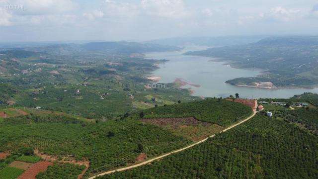 Chính chủ bán lô đất 6,2 sào view sông Đồng Nai (hồ Di Lâm) tuyệt đẹp, mặt tiền đường bê tông 6m