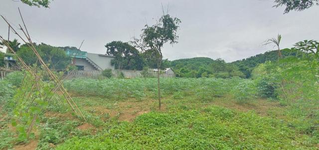 Cần bán nhanh 900m2 đất gần khu vực có nước khoáng nóng tại Kim Bôi, Hòa Bình