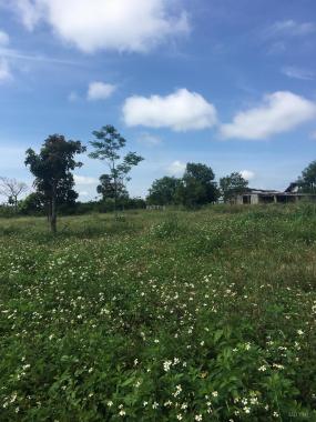 Bán đất Đam Bri bên cạnh làng sinh thái La Melodie 2,4 héc; 800 triệu/sào
