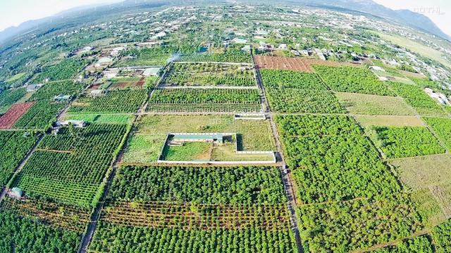 Bán đất nông nghiệp phường Yên Thế - Pleiku 35 triệu/m ngang