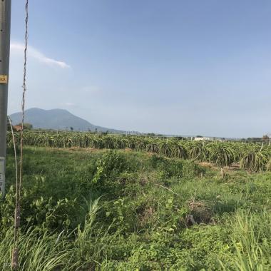 Bán đất phủ hồng mặt tiền Mai Thúc Loan - Tân Hải - Tx LaGi giá đầu tư