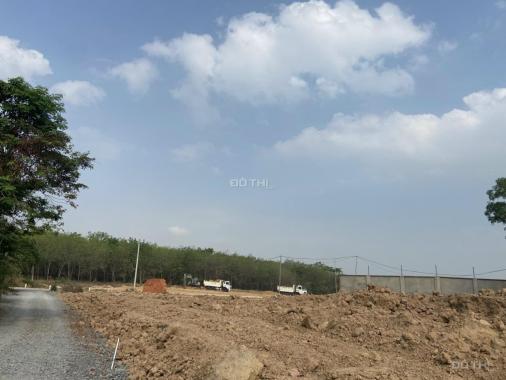 Đất Phú Chánh cách bệnh viện Nhi 500m giá chưa tới 4tr/m2 bằng giá đất mẫu