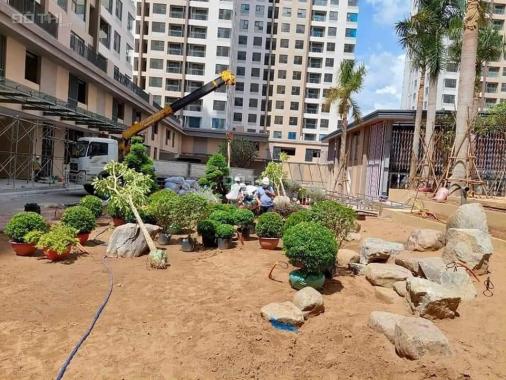 Căn 56m2 view công viên trung tâm cần bán gấp, giá thật không chênh có hỗ trợ vay ngân hàng dài hạn