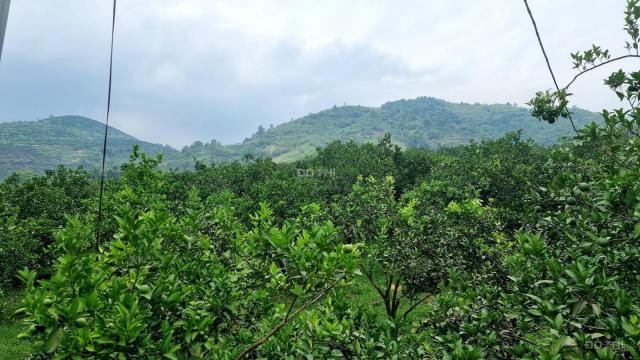 Bán đất trang trại Cao Phong DT 6200m2 view hồ