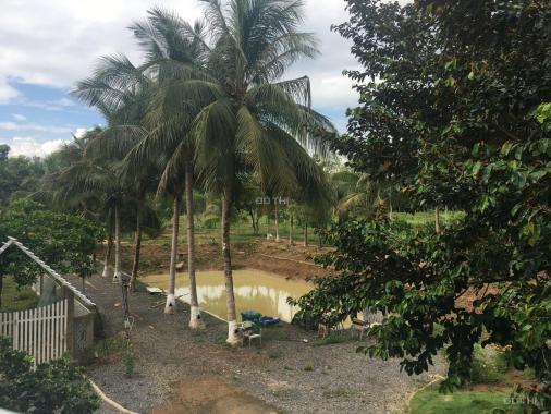Cần bán gấp dự án homestay kết hợp vườn trái cây 5.1ha tại Vĩnh Cửu giá 14 tỷ