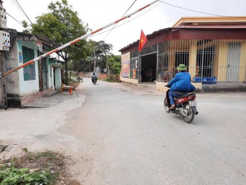 Bán đất phân lô xã Quang Hưng, An Lão cách Tràng Duệ 4km giá từ 495tr/lô
