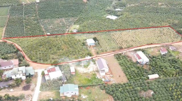 Bán đất tại Xã Đam Bri, Bảo Lộc, Lâm Đồng diện tích 614m2 giá 3.7 triệu/m2