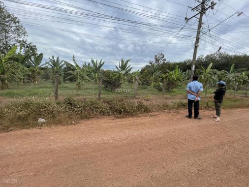 Bán 1 sào đất cây ăn quả MT đường liên xã, xã Quang Minh, Chơn Thành