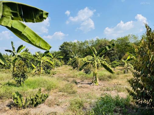 Bán 1 sào đất cây ăn quả MT đường liên xã, xã Quang Minh, Chơn Thành