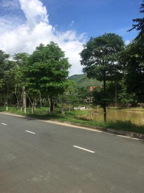 Cần bán biệt thự song lập giá 10,5 tỷ diện tích 286m2 dự án Xanh Villas Thạch Thất, Hà Nội