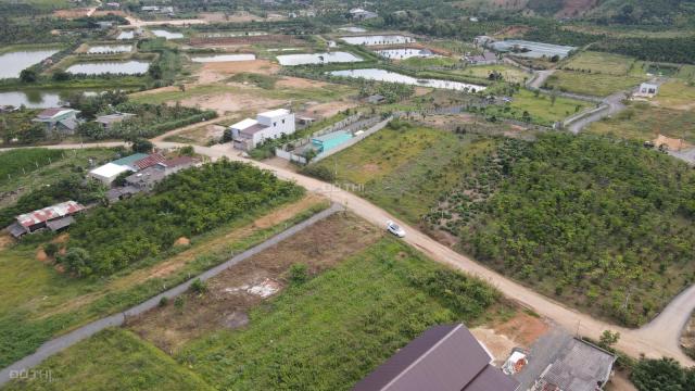 832.1 m2 đất mặt tiền đường Đinh Công Tráng, Lộc Châu cần bán gấp