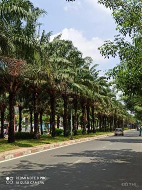 Chính chủ cần bán gấp giá rẻ 10 nền đất đẹp tại KDC Trung Sơn Bình Hưng Bình Chánh