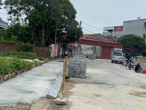Chính chủ cần bán lô Văn Miếu - Xích Đằng - Phường Lam Sơn TP Hưng Yên