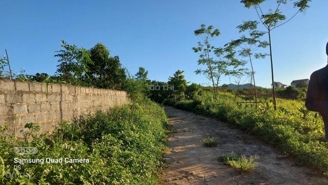 Bán đất Cao Phong 3000m2 toàn bộ là đất vườn, thế đất bằng phẳng view thoáng. Giá đầu tư