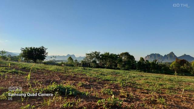 Bán đất Cao Phong 3000m2 toàn bộ là đất vườn, thế đất bằng phẳng view thoáng. Giá đầu tư