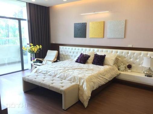 Cho thuê căn hộ tại Ngọc Khánh Plaza, tại số 1 Phạm Huy Thông, 2PN - 3PN, giá từ 12 triệu/tháng