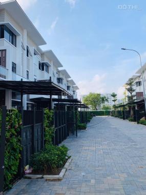 Mizuki Park giai đoạn 2 - Giá gốc từ chủ đầu tư, thanh toán 50%