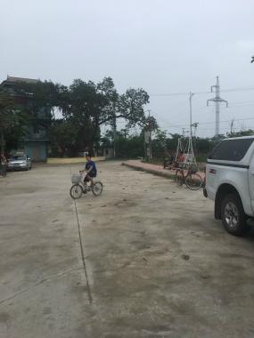 Chính chủ gửi bán đất sổ đỏ 49m2, đường ô tô vào thuận tiện tại Tam Hưng, Thanh Oai, Hà Nội